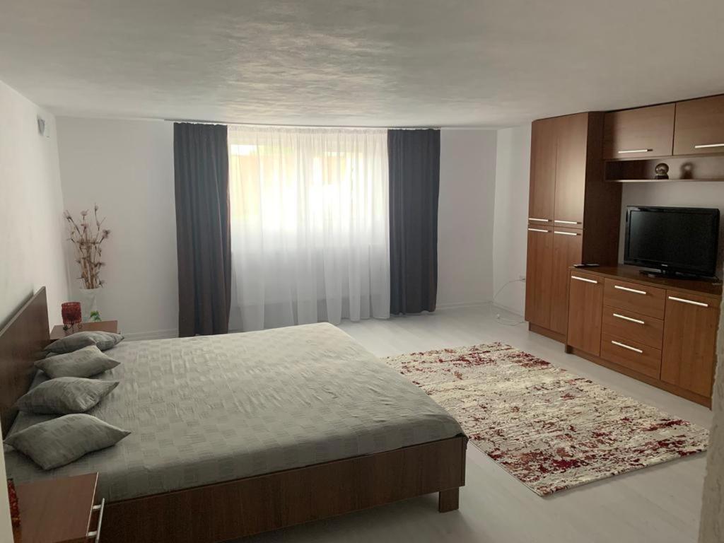 Appartement Casa Deac à Sebeş Extérieur photo
